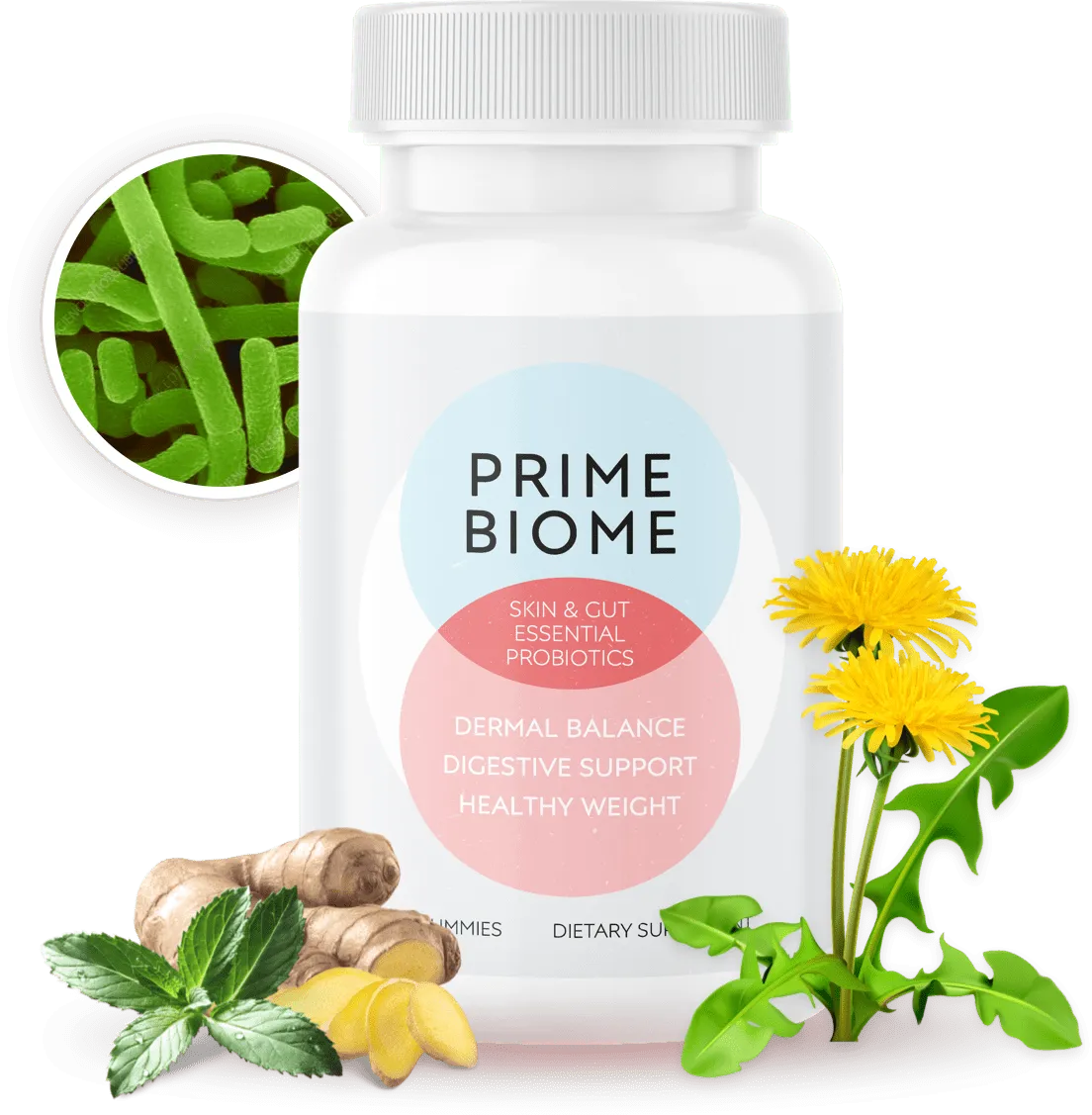 PrimeBiome Buy